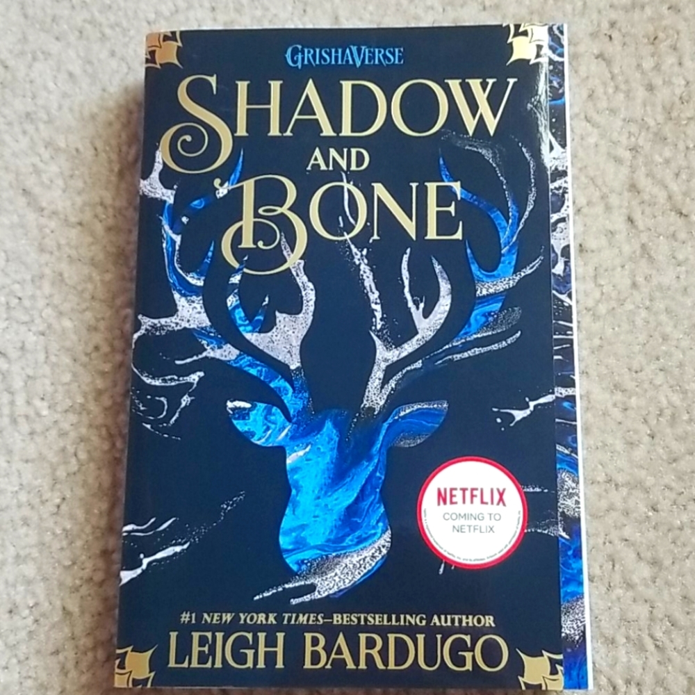 Shadow and bone book